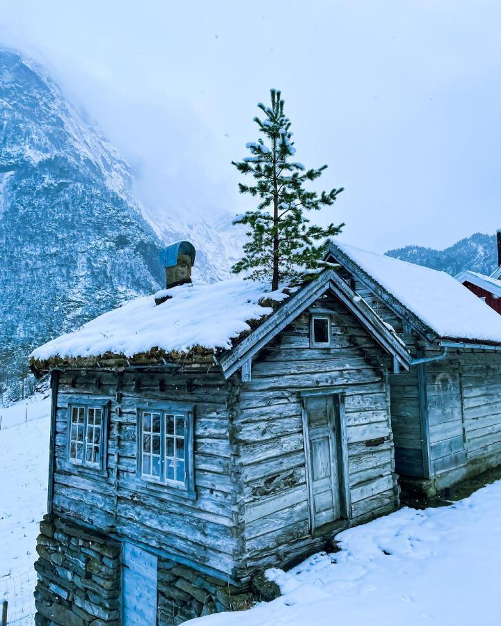 Valldal Fjord Lodge B&B 외부 사진