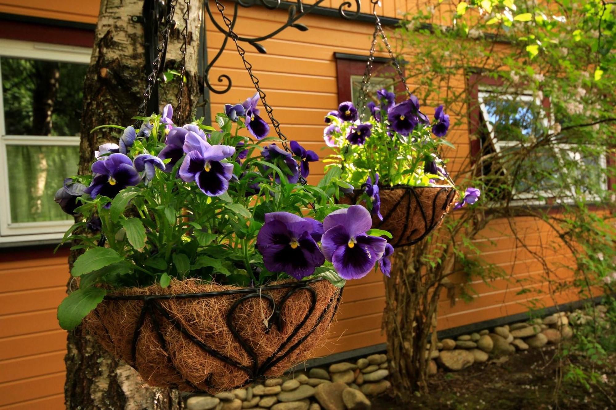 Valldal Fjord Lodge B&B 외부 사진